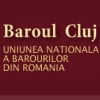 baroul-cluj-protocolul-piccj-sri-neconstitutional1579184446.jpg