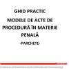 ghid-in-materie-penala-pentru-practicienii-din-parchete-documentul-1566386697.jpg
